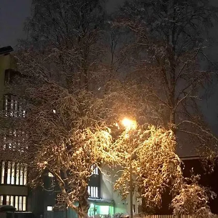 Christmas Elf's * Rovaniemi